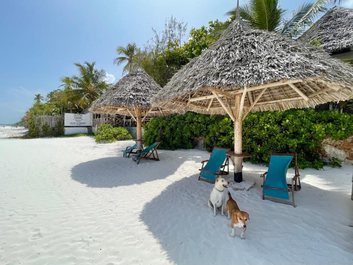 Hebe Bungalows Lodge Matemwe  Esterno foto