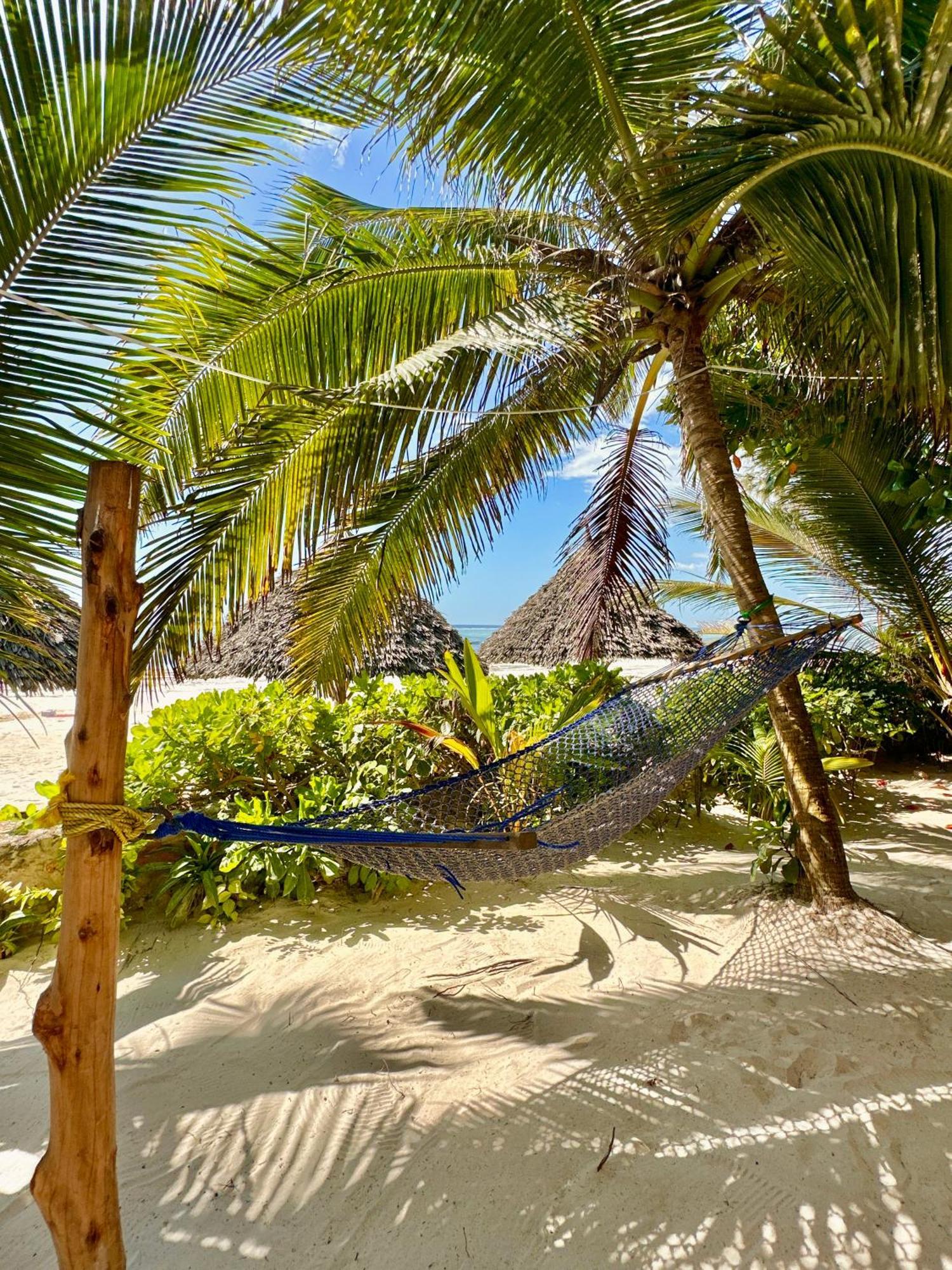 Hebe Bungalows Lodge Matemwe  Esterno foto