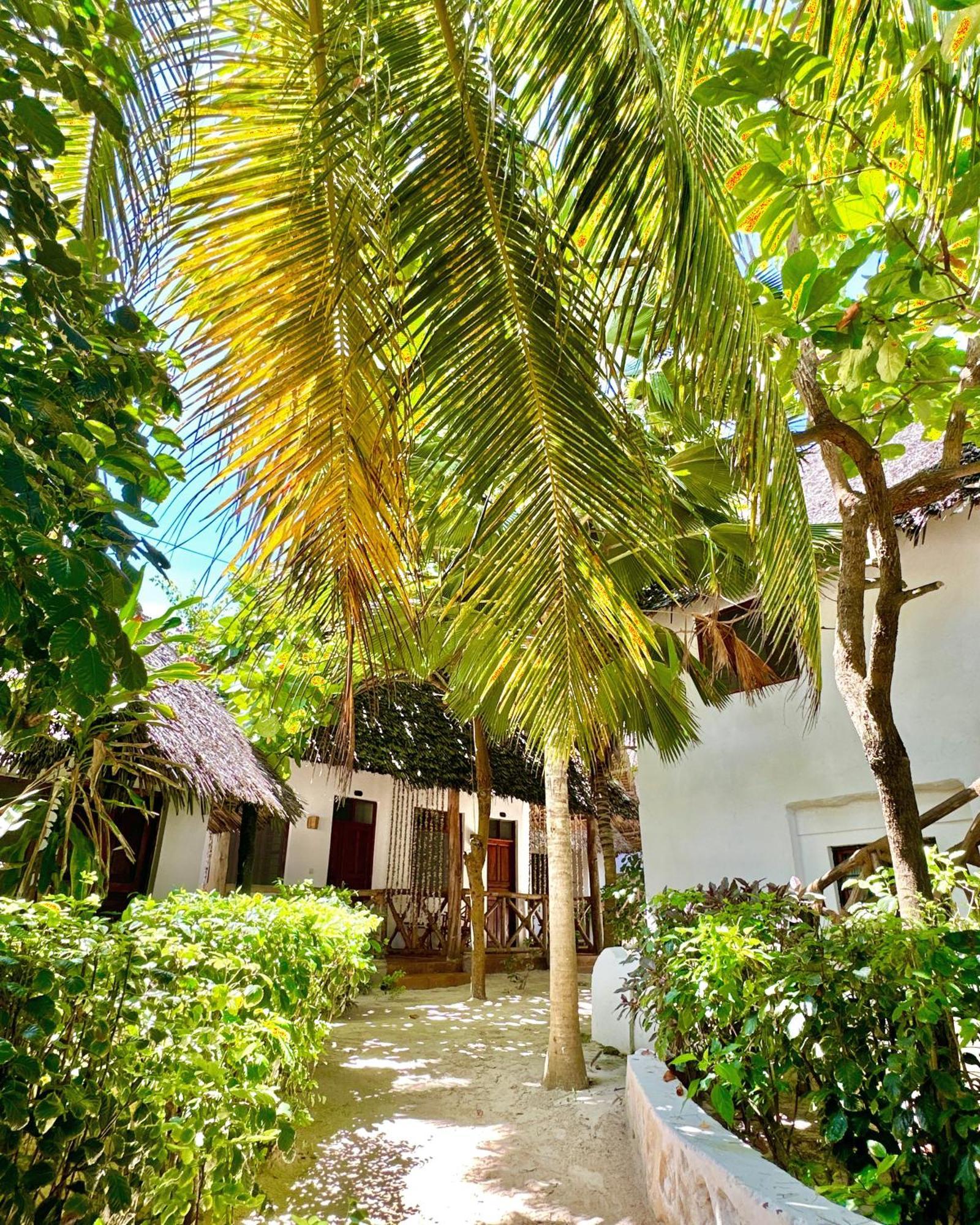 Hebe Bungalows Lodge Matemwe  Esterno foto