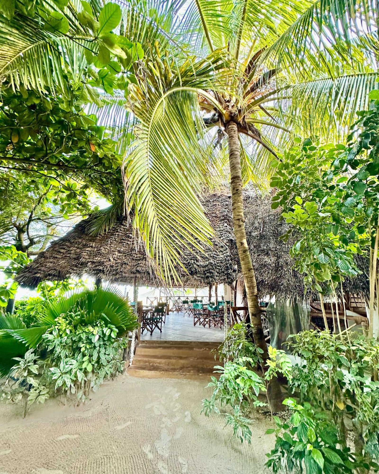 Hebe Bungalows Lodge Matemwe  Esterno foto
