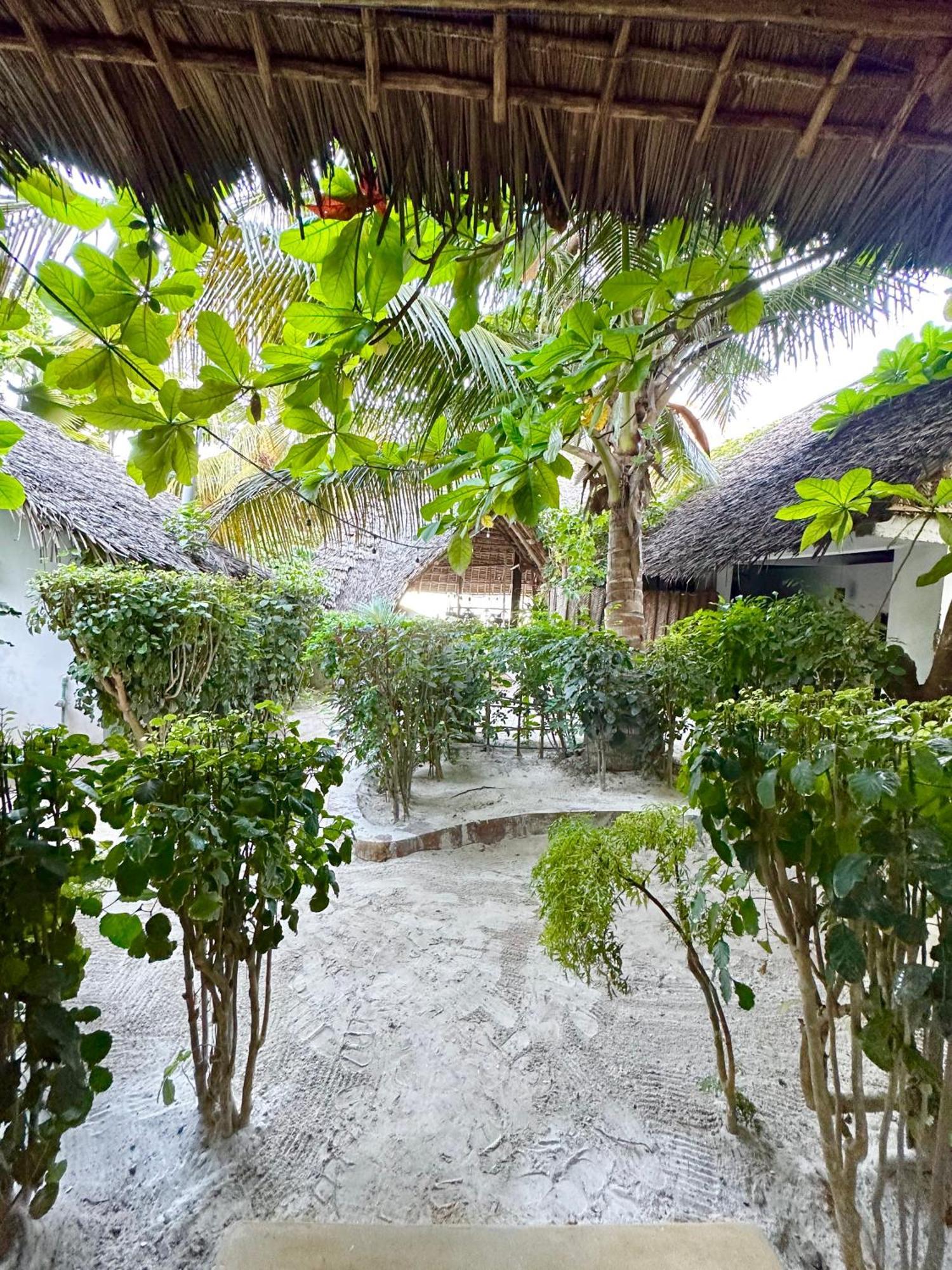 Hebe Bungalows Lodge Matemwe  Esterno foto