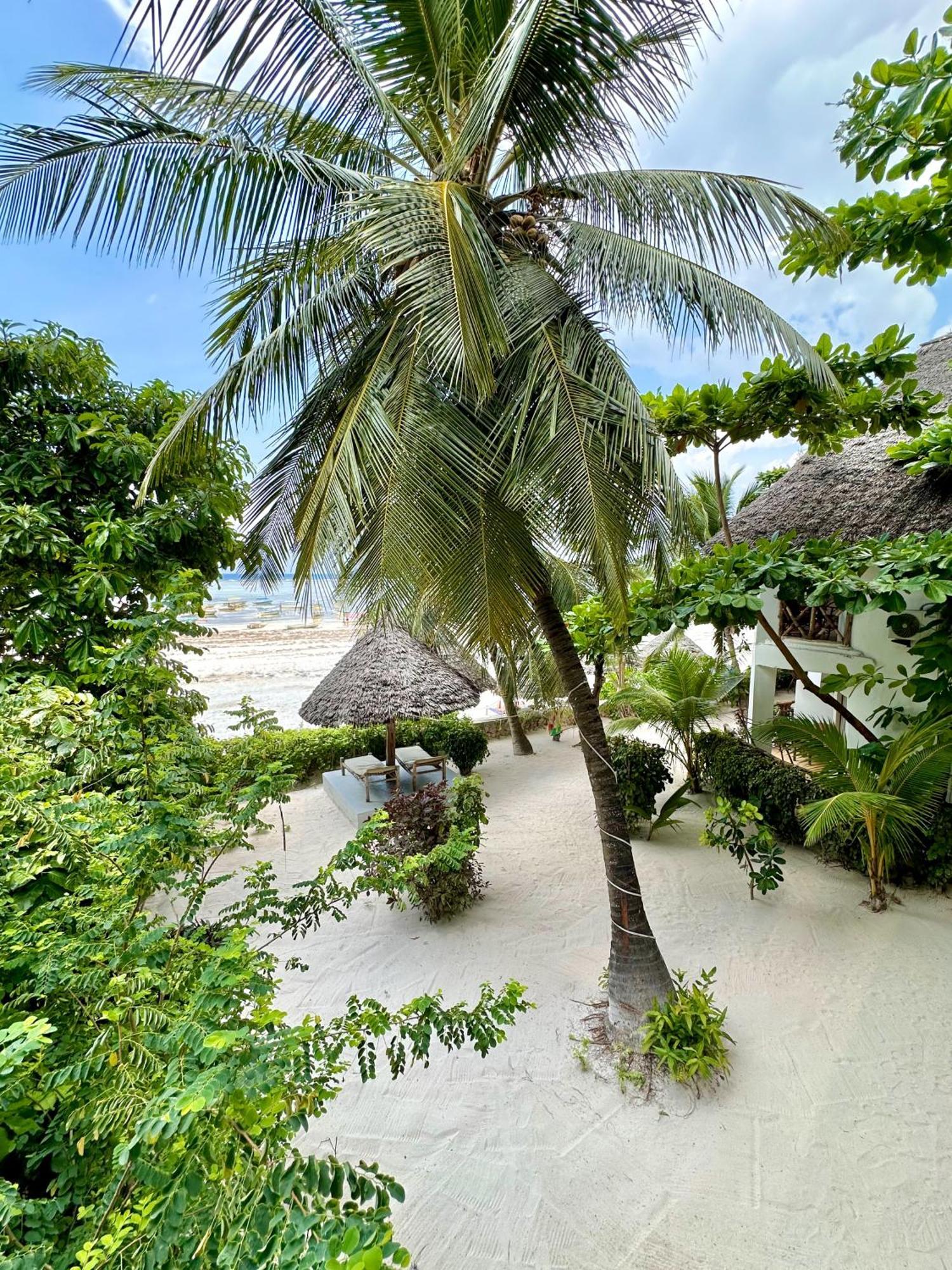 Hebe Bungalows Lodge Matemwe  Esterno foto